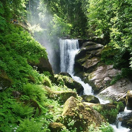 Rita - Atemberaubenden Wasserfaelle Triberg im Schwarzwald Exterior foto