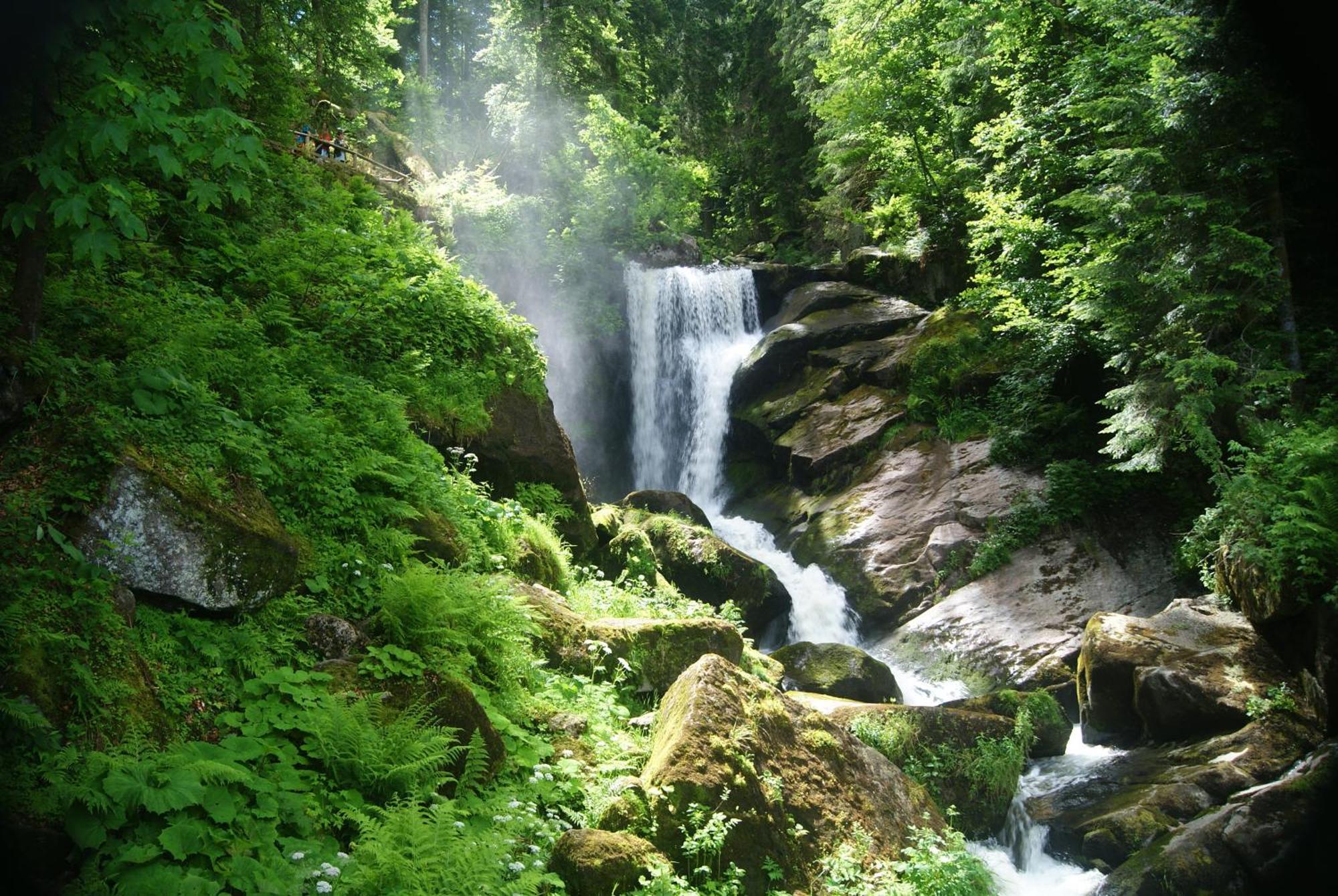 Rita - Atemberaubenden Wasserfaelle Triberg im Schwarzwald Exterior foto